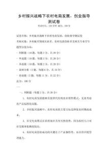 鄉(xiāng)村振興戰(zhàn)略下農村電商發(fā)展，創(chuàng)業(yè)指導測試卷
