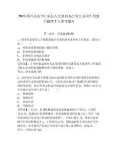 2025四川涼山州甘洛縣人民政府辦公室公務用車駕駛員招聘2人參考題庫含答案詳解（典型題）