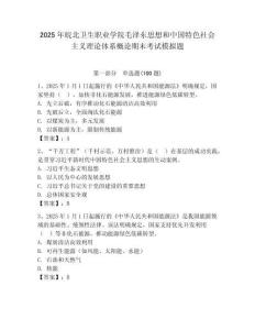 2025年皖北衛生職業學院毛澤東思想和中國特色社會主義理論體系概論期末考試模擬題附答案（基礎題）