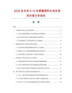 2026及未來5-10年顛簸累積儀項目投資價值分析報告