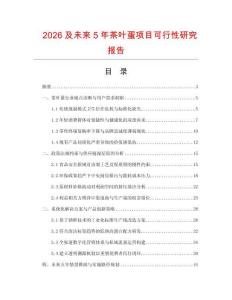 2026及未來5年茶葉蛋項目可行性研究報告