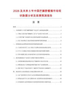 2026及未來5年中國芒藤野餐箱市場現狀數據分析及前景預測報告