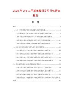 2026年26-二甲基苯胺項目可行性研究報告