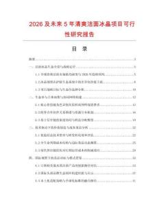 2026及未來5年清爽潔面冰晶項(xiàng)目可行性研究報(bào)告
