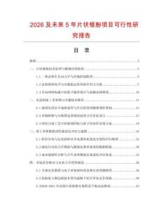 2026及未來5年片狀銀粉項目可行性研究報告