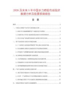 2026及未來5年中國水力噴咀市場現(xiàn)狀數(shù)據(jù)分析及前景預測報告