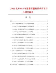 2026及未來5年耐磨石墨制品項目可行性研究報告