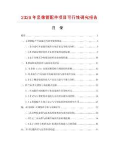 2026年顯像管配件項目可行性研究報告