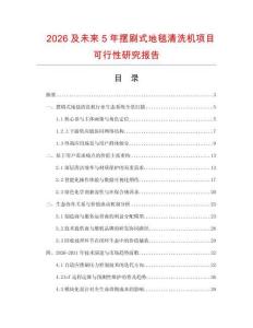 2026及未來5年擺刷式地毯清洗機項目可行性研究報告