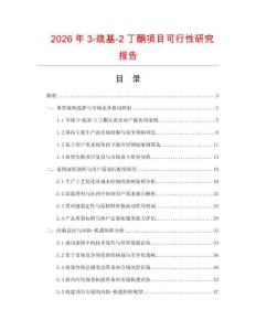 2026年3-巰基-2丁酮項(xiàng)目可行性研究報(bào)告