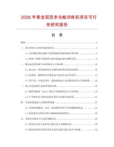2026年紫金冠頂多功能訓練機項目可行性研究報告