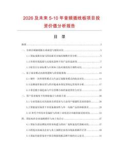 2026及未来5-10年音频插线板项目投资价值分析报告