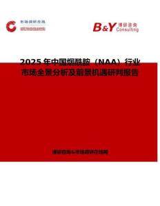 2025年中國煙酰胺（NAA）行業市場全景分析及前景機遇研判報告