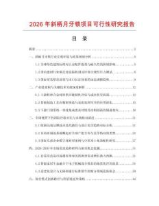 2026年斜柄月牙鎖項目可行性研究報告