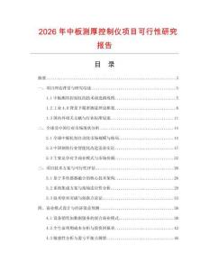 2026年中板測厚控制儀項目可行性研究報告