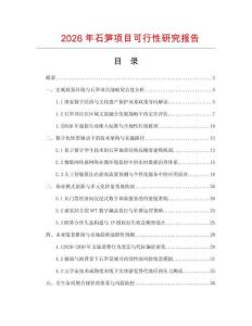 2026年石筍項目可行性研究報告