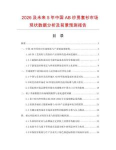 2026及未來5年中國AB紗男套衫市場現狀數據分析及前景預測報告