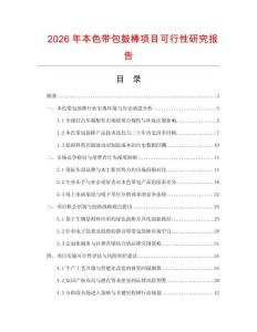 2026年本色帶包鼓棒項目可行性研究報告
