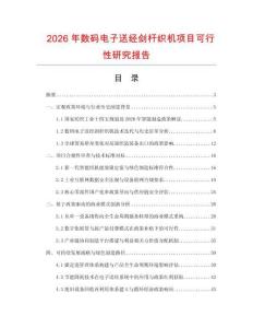 2026年數碼電子送經劍桿織機項目可行性研究報告