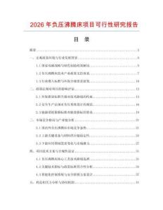 2026年負壓沸騰床項目可行性研究報告