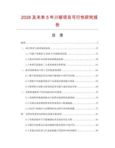 2026及未來5年川鈸項目可行性研究報告