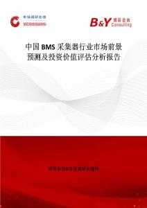 中國BMS采集器行業(yè)市場前景預(yù)測及投資價值評估分析報告