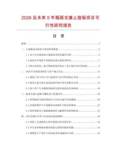 2026及未來5年瓶頸支撐止旋板項目可行性研究報告