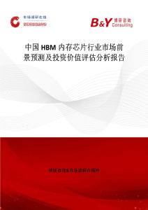 中國HBM內存芯片行業市場前景預測及投資價值評估分析報告