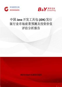 中國Java 開發工具包 (JDK) 發行版行業市場前景預測及投資價值評估分析報告