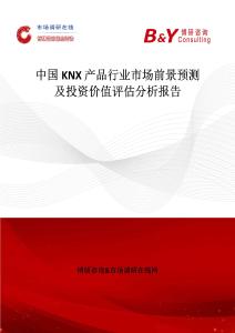 中國KNX 產(chǎn)品行業(yè)市場前景預(yù)測及投資價值評估分析報告