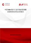 中國MDI墊片行業市場前景預測及投資價值評估分析報告