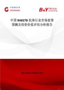 中國RAB27B抗體行業(yè)市場前景預(yù)測及投資價(jià)值評估分析報(bào)告