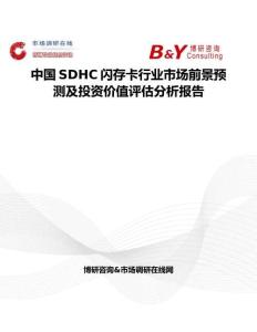 中国SDHC闪存卡行业市场前景预测及投资价值评估分析报告