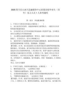 2025四川樂山沐川縣融媒體中心招募高校畢業生（青年）見習人員1人參考題庫及1套完整答案詳解