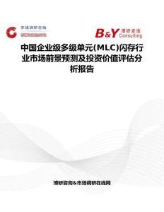 中國企業級多級單元(MLC)閃存行業市場前景預測及投資價值評估分析報告