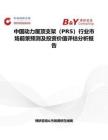 中國動力屋頂支架（PRS）行業(yè)市場前景預(yù)測及投資價值評估分析報告