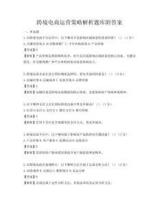 跨境電商運營策略解析題庫附答案