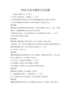 2025年初中物理力學(xué)試題