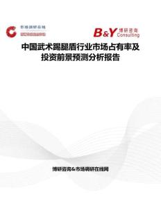 中國武術踢腿盾行業(yè)市場占有率及投資前景預測分析報告