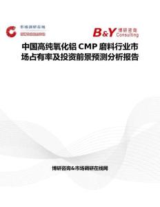 中國高純氧化鋁CMP磨料行業(yè)市場占有率及投資前景預(yù)測分析報告