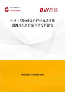 中国中型波峰焊机行业市场前景预测及投资价值评估分析报告