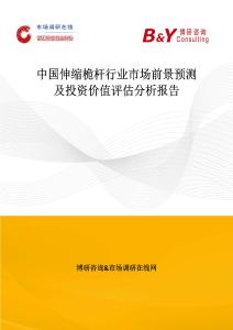 中國伸縮桅桿行業市場前景預測及投資價值評估分析報告