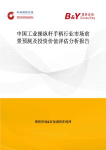 中國工業操縱桿手柄行業市場前景預測及投資價值評估分析報告