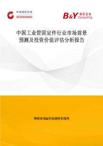 中国工业管固定件行业市场前景预测及投资价值评估分析报告