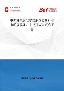 中國柳氮磺吡啶結腸溶膠囊行業市場規模及未來投資方向研究報告