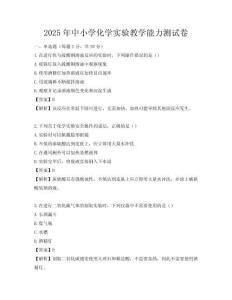 2025年中小學化學實驗教學能力測試卷