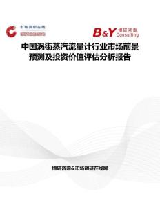 中國渦街蒸汽流量計行業市場前景預測及投資價值評估分析報告
