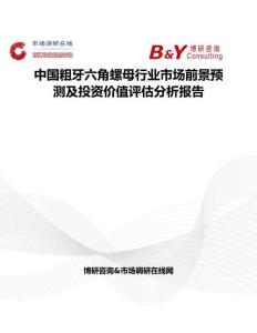 中国粗牙六角螺母行业市场前景预测及投资价值评估分析报告