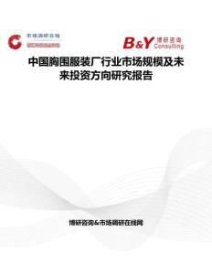 中國胸圍服裝廠行業市場規模及未來投資方向研究報告