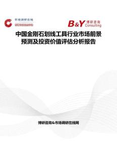 中國金剛石劃線工具行業市場前景預測及投資價值評估分析報告